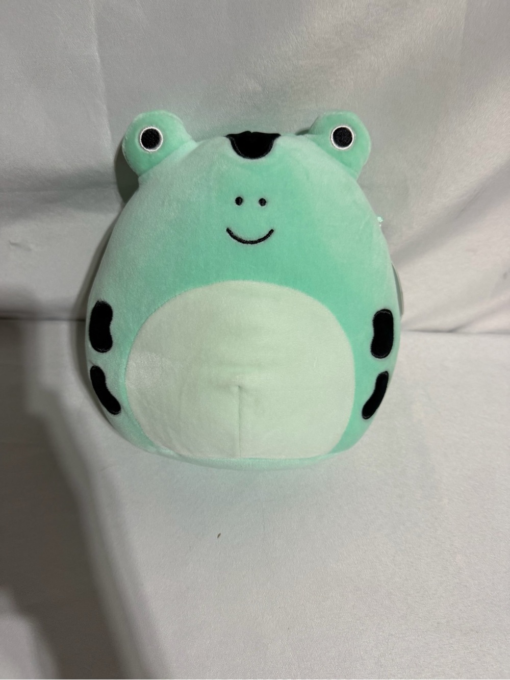 Squishmallows Set of 5 Bundle *Wu Rainbow Bunny,Poison Dart Frog, Buzz the Sloth - Picture 5 of 16